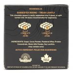Room 920 – Mushroom Chocolate Bar - Milk Chocolate - 3 Grams | Schedule35 Canada