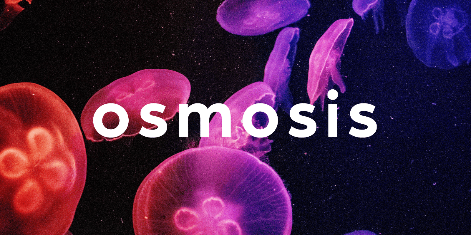 Zoomies osmosis banner | Schedule35 Canada