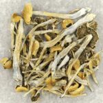 Trinity | Schedule35 Canada