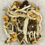 Cuban | Schedule35 Canada
