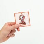 Wonder – Psilocybin Chocolate Bar – Blood Orange | Schedule35 Canada