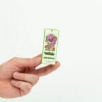 Wonder – Psilocybin Chocolate Bar – Dark Chocolate | Schedule35 Canada