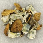 King Kong | Schedule35 Canada
