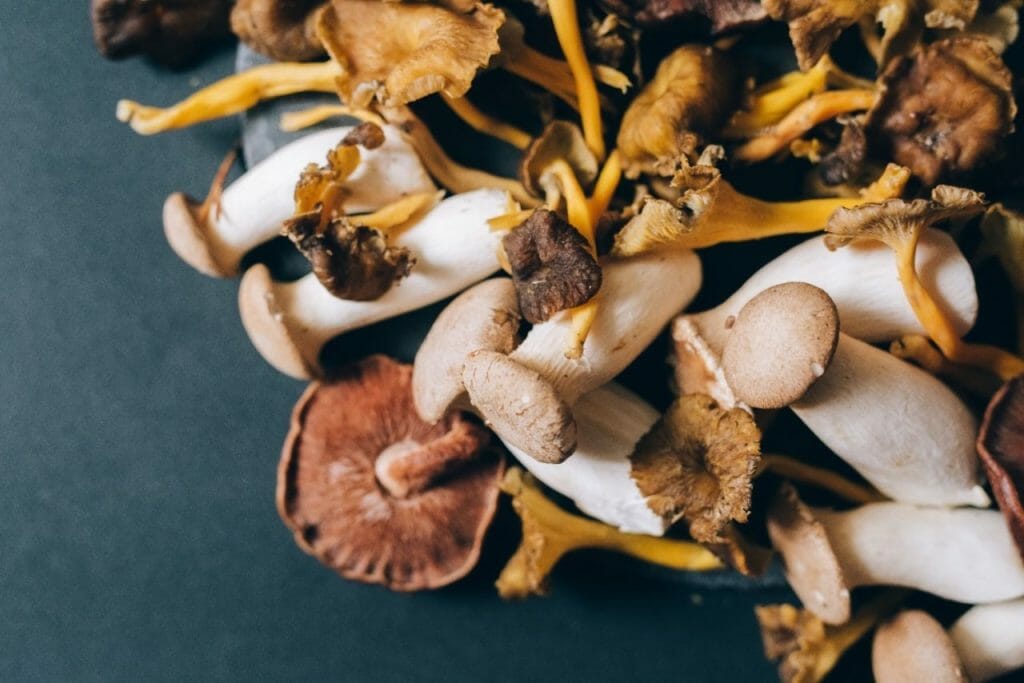 Ways Mushrooms Can Boost Your Health Health benefits of mushrooms