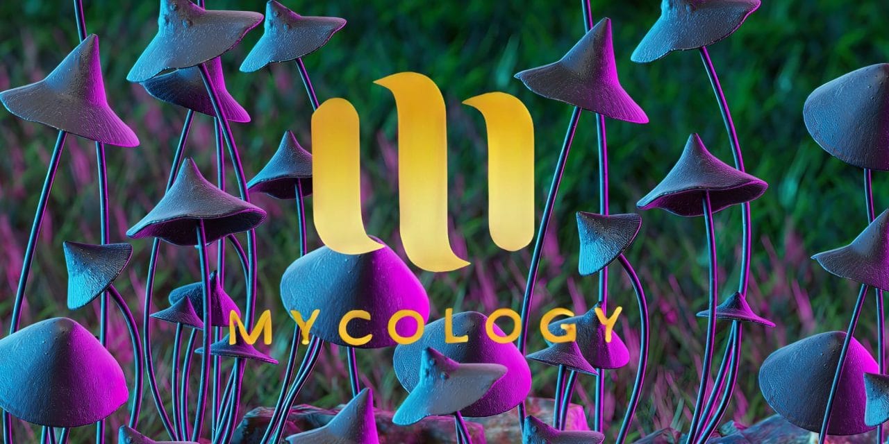 Zoomies Summer 2023 Banner - Mycology | Schedule35 Canada